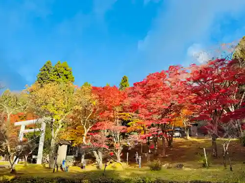 土津神社｜こどもと出世の神さま(福島県)
