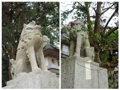 八幡朝見神社の狛犬