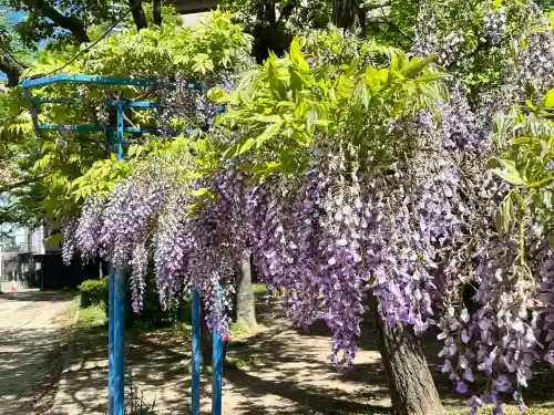 天満宮中之社（廃神社・石碑あり）(大阪府)