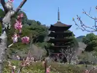 瑠璃光寺(山口県)