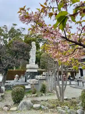 興全寺の{uncategorized: "未分類", other: "その他", undefined: "問題あり", building: "その他建物", grave: "お墓", sacred_gate: "鳥居", guardian: "狛犬", statue: "像", buddha: "仏像", history: "歴史", nature: "自然", garden: "庭園", animal: "動物", pagoda: "塔", temizu: "手水舎", mountain_gate: "山門・神門", sanctuary: "本殿・本堂", subordinate: "末社・摂社", art: "芸術", scenery: "景色", jizo: "地蔵", ema: "絵馬", goshuin: "御朱印", omikuji: "おみくじ", items: "授与品その他", amulet: "お守り", goshuincho: "御朱印帳", eats: "食事", festival: "お祭り", votive_dance: "神楽", shichigosan: "七五三参", wedding: "結婚式", experience: "体験その他", initially: "初詣", around: "周辺", anti_infection: "感染症対策"}