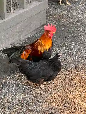 石上神宮(奈良県)