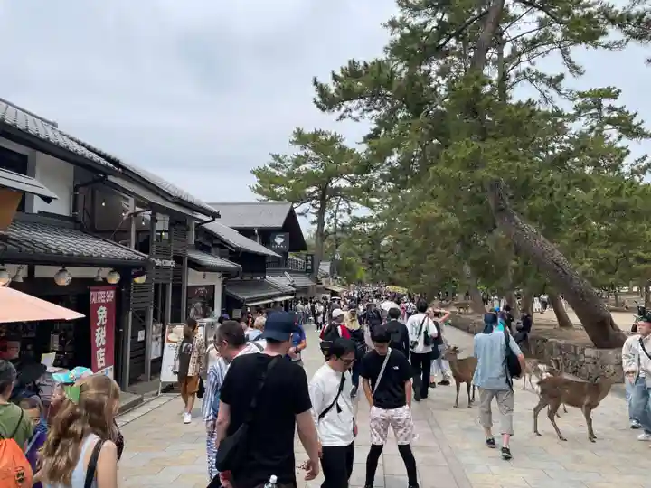 東大寺(奈良県)