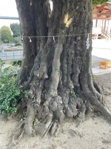 御嶽神社の{uncategorized: "未分類", other: "その他", undefined: "問題あり", building: "その他建物", grave: "お墓", sacred_gate: "鳥居", guardian: "狛犬", statue: "像", buddha: "仏像", history: "歴史", nature: "自然", garden: "庭園", animal: "動物", pagoda: "塔", temizu: "手水舎", mountain_gate: "山門・神門", sanctuary: "本殿・本堂", subordinate: "末社・摂社", art: "芸術", scenery: "景色", jizo: "地蔵", ema: "絵馬", goshuin: "御朱印", omikuji: "おみくじ", items: "授与品その他", amulet: "お守り", goshuincho: "御朱印帳", eats: "食事", festival: "お祭り", votive_dance: "神楽", shichigosan: "七五三参", wedding: "結婚式", experience: "体験その他", initially: "初詣", around: "周辺", anti_infection: "感染症対策"}