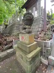 高石神社の狛犬