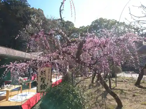 太宰府天満宮の自然