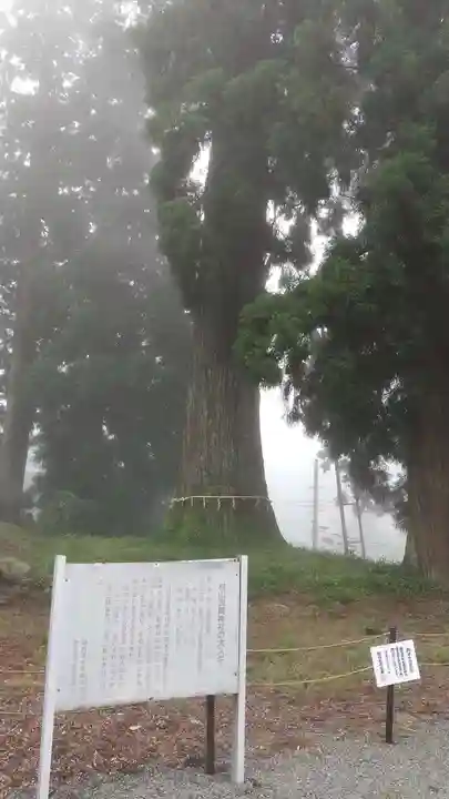 村山浅間神社のその他建物