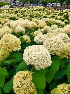 陽林寺(福島県)