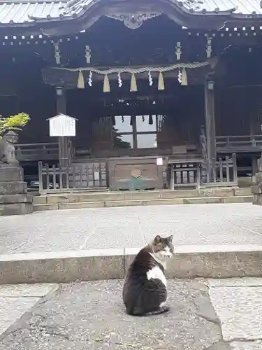 白山神社の動物