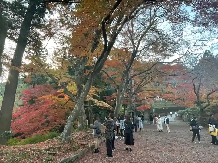 毘沙門堂門跡(京都府)