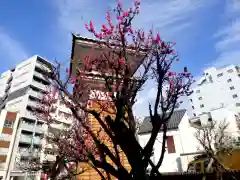 亀戸 香取神社の周辺