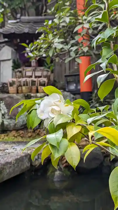 宝蔵寺(京都府)