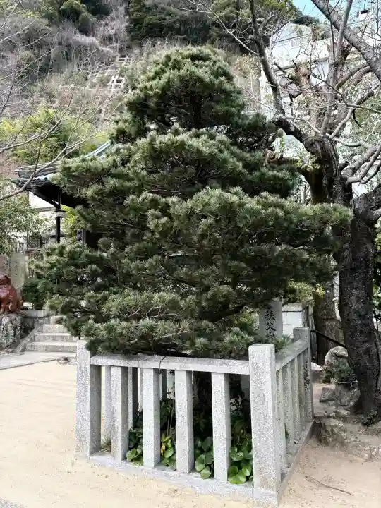 妙光院の{uncategorized: "未分類", other: "その他", undefined: "問題あり", building: "その他建物", grave: "お墓", sacred_gate: "鳥居", guardian: "狛犬", statue: "像", buddha: "仏像", history: "歴史", nature: "自然", garden: "庭園", animal: "動物", pagoda: "塔", temizu: "手水舎", mountain_gate: "山門・神門", sanctuary: "本殿・本堂", subordinate: "末社・摂社", art: "芸術", scenery: "景色", jizo: "地蔵", ema: "絵馬", goshuin: "御朱印", omikuji: "おみくじ", items: "授与品その他", amulet: "お守り", goshuincho: "御朱印帳", eats: "食事", festival: "お祭り", votive_dance: "神楽", shichigosan: "七五三参", wedding: "結婚式", experience: "体験その他", initially: "初詣", around: "周辺", anti_infection: "感染症対策"}