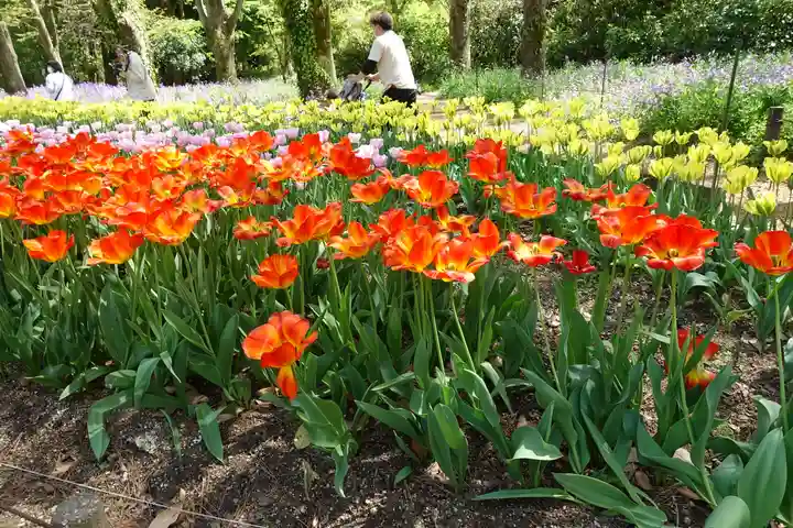 半木神社(賀茂別雷神社境外末社)(京都府)