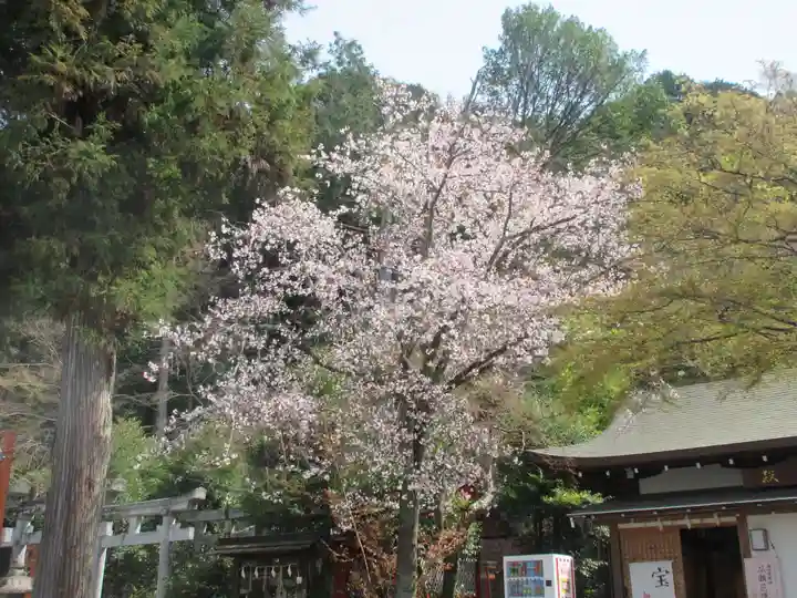 粟田神社(京都府)