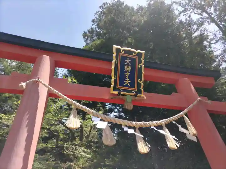 天河大辨財天社の{uncategorized: "未分類", other: "その他", undefined: "問題あり", building: "その他建物", grave: "お墓", sacred_gate: "鳥居", guardian: "狛犬", statue: "像", buddha: "仏像", history: "歴史", nature: "自然", garden: "庭園", animal: "動物", pagoda: "塔", temizu: "手水舎", mountain_gate: "山門・神門", sanctuary: "本殿・本堂", subordinate: "末社・摂社", art: "芸術", scenery: "景色", jizo: "地蔵", ema: "絵馬", goshuin: "御朱印", omikuji: "おみくじ", items: "授与品その他", amulet: "お守り", goshuincho: "御朱印帳", eats: "食事", festival: "お祭り", votive_dance: "神楽", shichigosan: "七五三参", wedding: "結婚式", experience: "体験その他", initially: "初詣", around: "周辺", anti_infection: "感染症対策"}