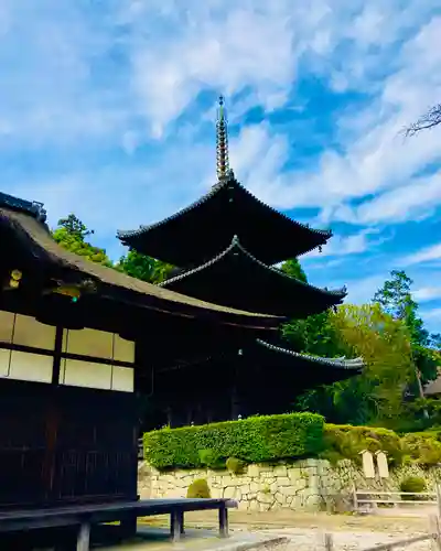 園城寺（三井寺）のその他建物