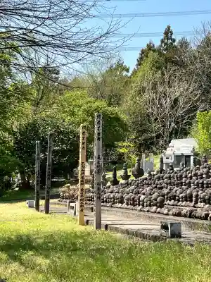 無量院(蓮華寺)の{uncategorized: "未分類", other: "その他", undefined: "問題あり", building: "その他建物", grave: "お墓", sacred_gate: "鳥居", guardian: "狛犬", statue: "像", buddha: "仏像", history: "歴史", nature: "自然", garden: "庭園", animal: "動物", pagoda: "塔", temizu: "手水舎", mountain_gate: "山門・神門", sanctuary: "本殿・本堂", subordinate: "末社・摂社", art: "芸術", scenery: "景色", jizo: "地蔵", ema: "絵馬", goshuin: "御朱印", omikuji: "おみくじ", items: "授与品その他", amulet: "お守り", goshuincho: "御朱印帳", eats: "食事", festival: "お祭り", votive_dance: "神楽", shichigosan: "七五三参", wedding: "結婚式", experience: "体験その他", initially: "初詣", around: "周辺", anti_infection: "感染症対策"}