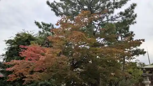 鹿嶋神社の自然