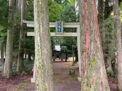 八幡神社(樺八幡神社)(福井県)