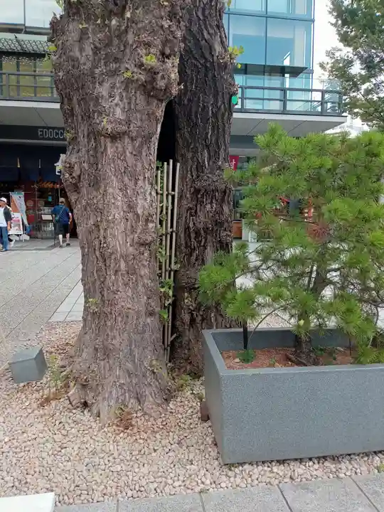 神田神社(神田明神)(東京都)