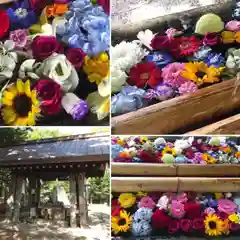 札幌護國神社の手水