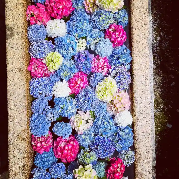 伊勢の国 四天王寺の手水舎