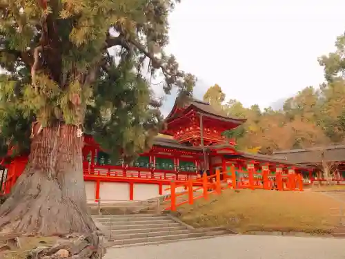 春日大社(奈良県)