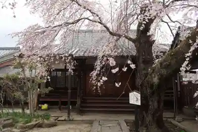 心念寺(三重県)