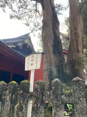 日光二荒山神社(栃木県)