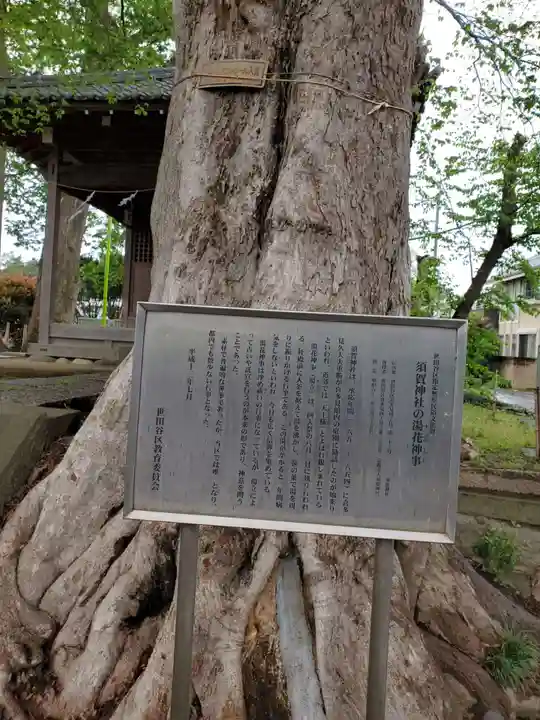 須賀神社の自然