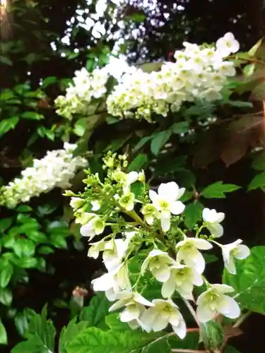 瑞円寺(東京都)