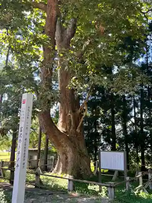 光清寺(山形県)