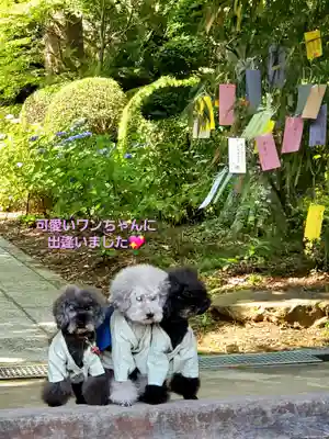 陽林寺(福島県)