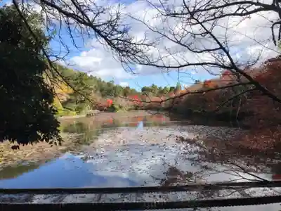 龍安寺(京都府)