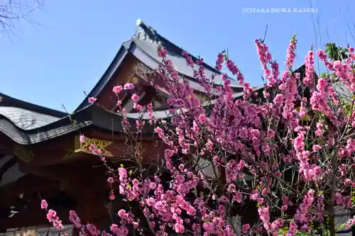素盞雄神社(東京都)
