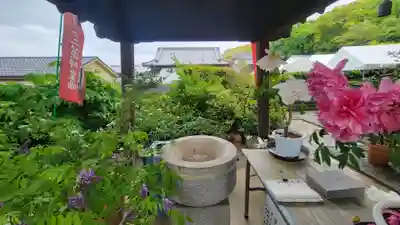 浄明院(愛媛県)