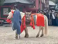 住吉大社(大阪府)