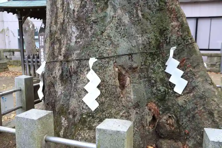 阿邪訶根神社の自然