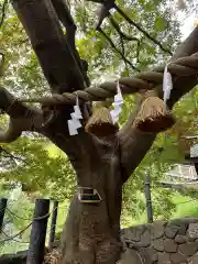 本牧神社(神奈川県)