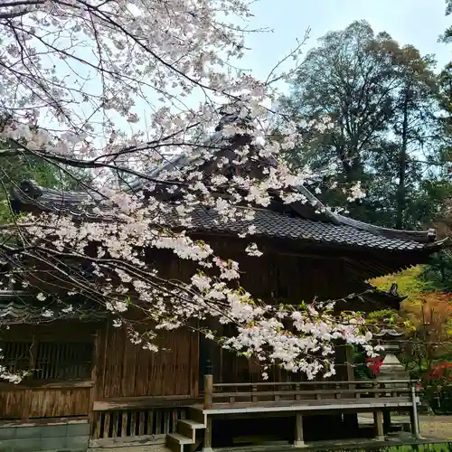 雨櫻神社(静岡県)