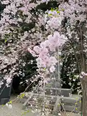 乃木神社(栃木県)