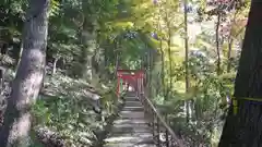 二葉姫稲荷神社の鳥居