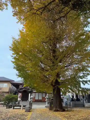 薬王寺(千葉県)