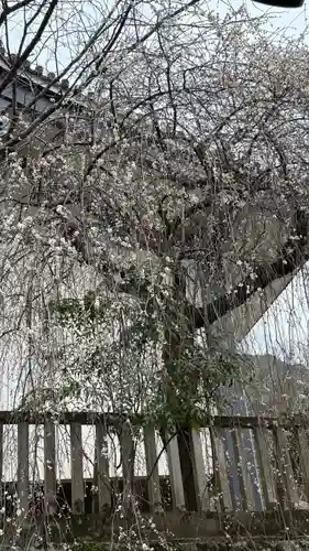 長谷寺(奈良県)