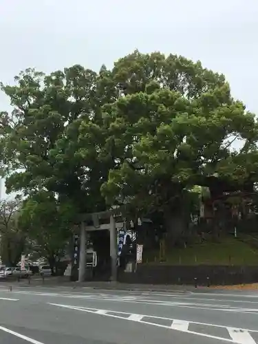 北岡神社の建物その他