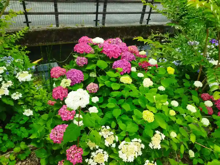 機物神社(大阪府)