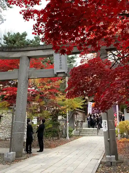 彌彦神社 (伊夜日子神社)の鳥居