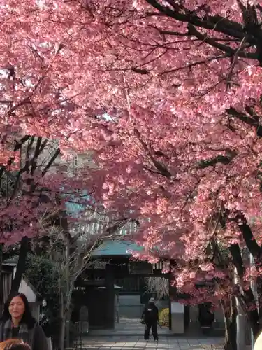 寿福寺(東京都)