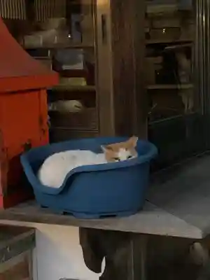 今市報徳二宮神社(栃木県)